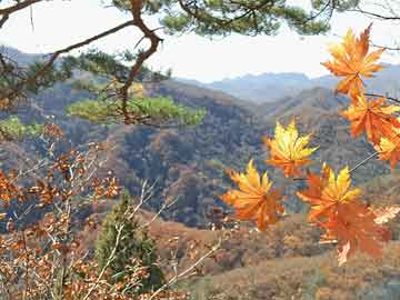 克里斯特倫將出任冰島新政府總理